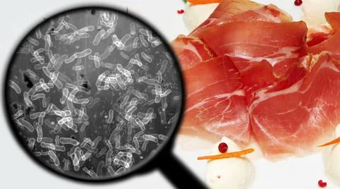Searching for bacteria in meat Stock Illustration