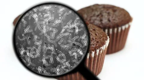 Searching for bacteria in sweets イラスト素材