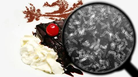 Searching for bacteria in sweets イラスト素材