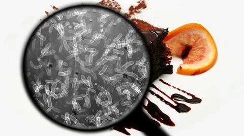 Searching for bacteria in sweets イラスト素材