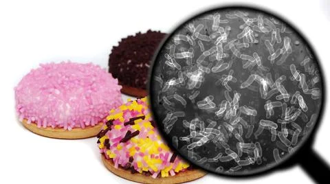 Searching for bacteria in sweets イラスト素材