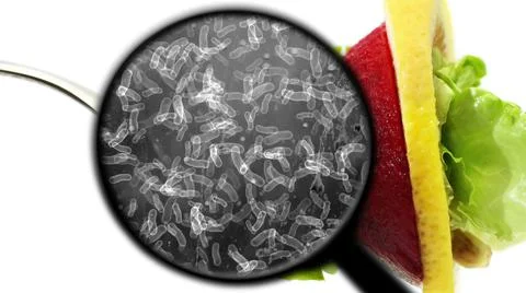 Searching for bacteria in vegetables Stock Illustration