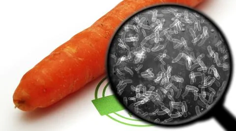 Searching for bacteria in vegetables Stock Illustration