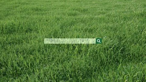 Searching, browsing, Internet data information, over Illustrazione stock