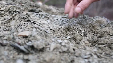 Searching of extinct animals Video stock 61863546