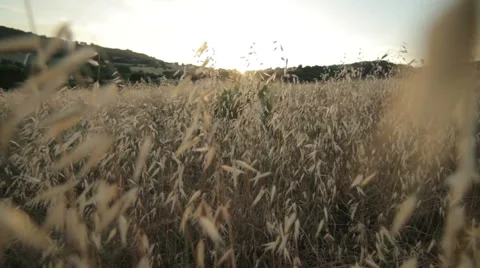Searching for the light Stock Footage 64989078