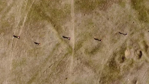 Searching operation for lost people drone shot. Search and rescue team Stock Footage 148806519