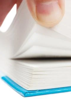 Searching Stock Photos