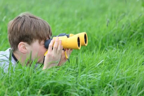 Searching Stock Photos