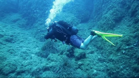 Searching the reef 스톡 동영상 99828448