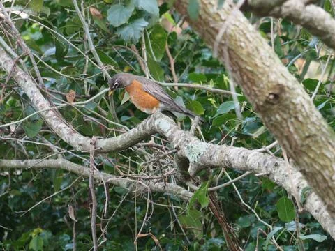 Searching For Something Down Below Stock Photos