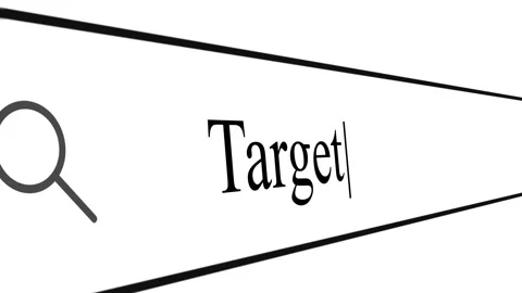 Searching for Target information in the search box on a browser Stock Footage 330422048