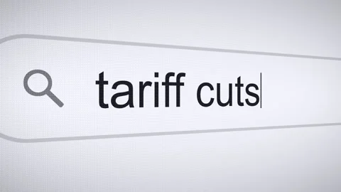 Searching Tariff Cuts on the Internet, Computer Screen Macro Stock Footage 308937652