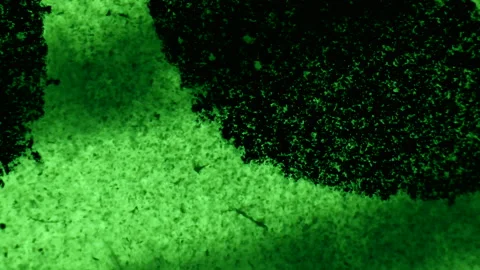 Searching through microscope Stock-Footage 153451282