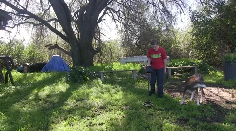 Searching for treasure Video stock 48333000