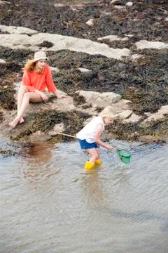 Searching for treasure Stock Photos