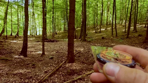 Searching the way  in  forest by using compass - 4k 動画素材 156989222