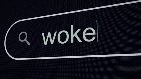 Searching Woke on the Internet, Computer Screen Macro Stock-Footage 274051634