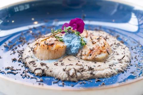 Seared scallop appetizer in dish Foto stock