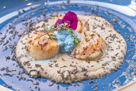 Seared scallop appetizer in dish Stock Photos