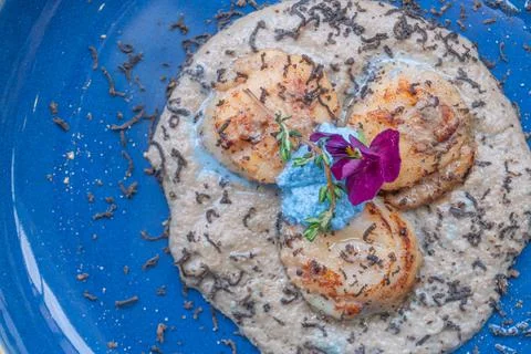 Seared scallop appetizer in dish Stock Photos