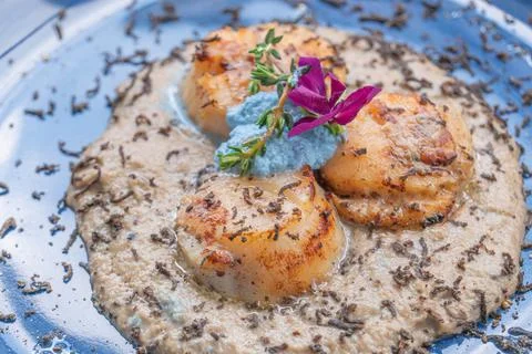 Seared scallop appetizer in dish Foto stock