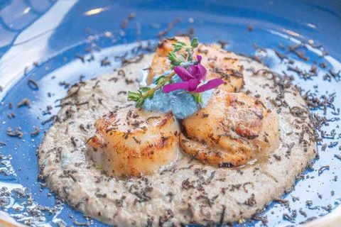 Seared scallop appetizer in dish Foto stock