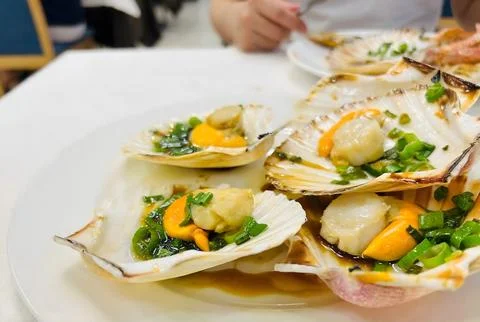 Seared Scallops in Shells with Green Onions and Sauce Fotos de archivo