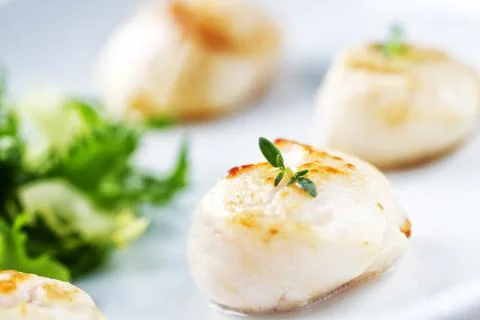 Seared Scallops with Side Salad on a plate Stock Photos