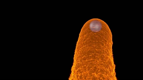 Searing Golden fire. Stock Footage 56110514