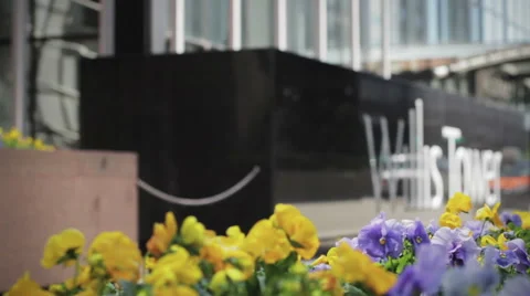 Sears/Willis Tower Rack Focus Flower Pan Stock Footage 50415327