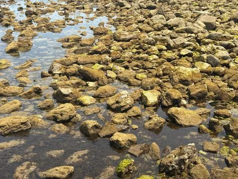 The Sea’s Stone Pause Foto stock