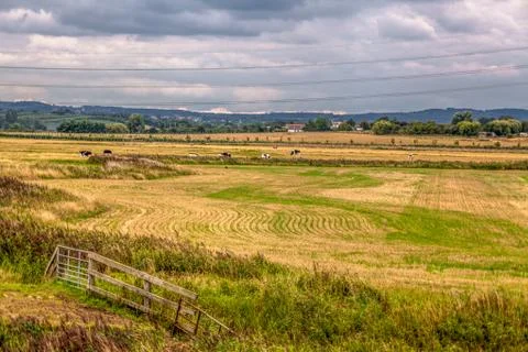 Seasalter farm fields Stock Photos