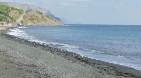 Seascape after storm Stock Footage 68157142