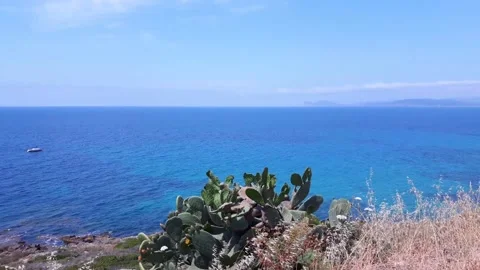 Seascape Alghero, Sardinia Stock Footage 167278062