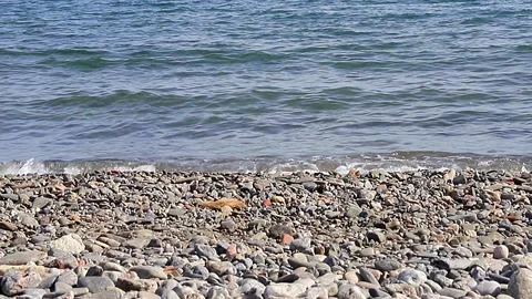 Seascape and pebble shoreline in the background Stock Footage 341496689