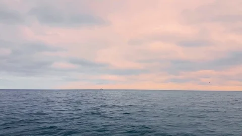 Seascape on background of pink clouds at sunset Stock Footage 82077681