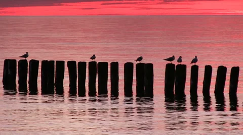 Seascape, Baltic Sea Stock Footage 32594568
