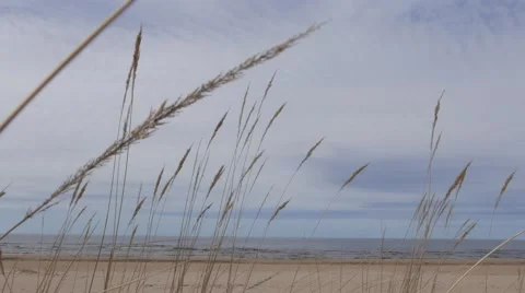 Seascape, Baltic Sea, Spring Stock Footage 49393077