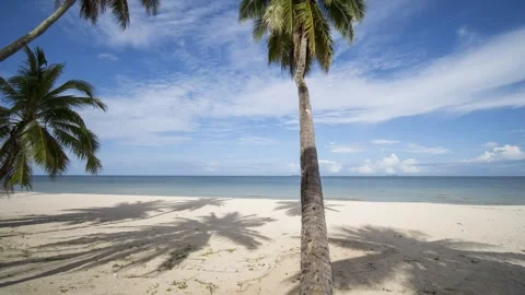 Seascape on beach with coconut tree and cloudy  location at south of Thailand Stock Footage 266148006