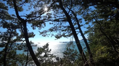 The seascape of Busan Video stock 101003601