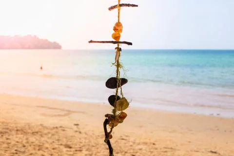 Seascape. Decoration on a tree, thread with shells, on the shore of a tropi.. Fotos de archivo