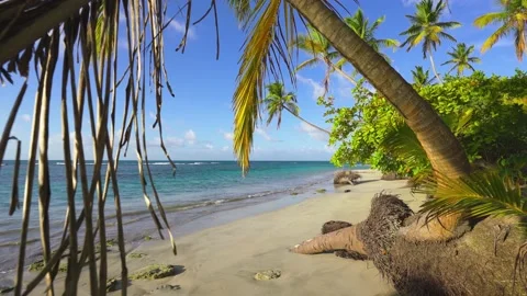 Seascape of the evening beach.  Vidéo 202070515