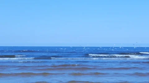 Seascape with flying seagulls Stock Footage 49692728