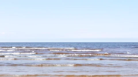 Seascape with flying seagulls Stock Footage 49692983
