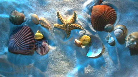 Seascape Stock Footage 661736