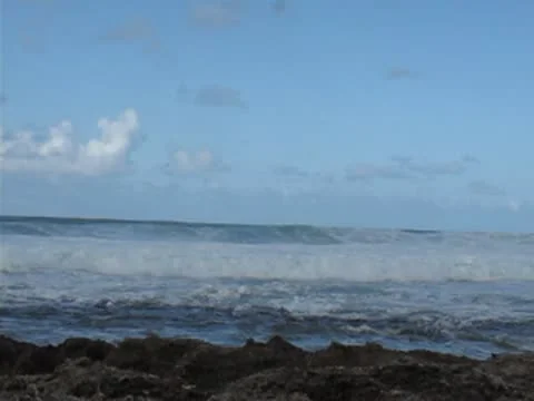 Seascape 動画素材 10561173