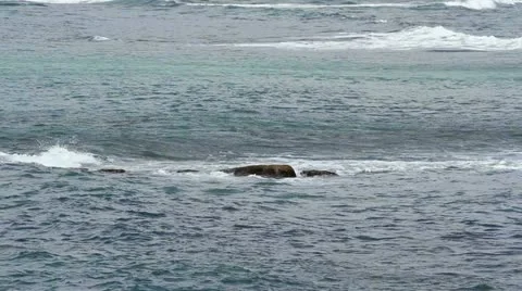 Seascape Stock Footage 12378473