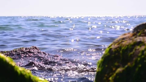The seascape Stock Footage 74976768