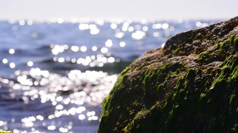 The seascape Stock Footage 74977050